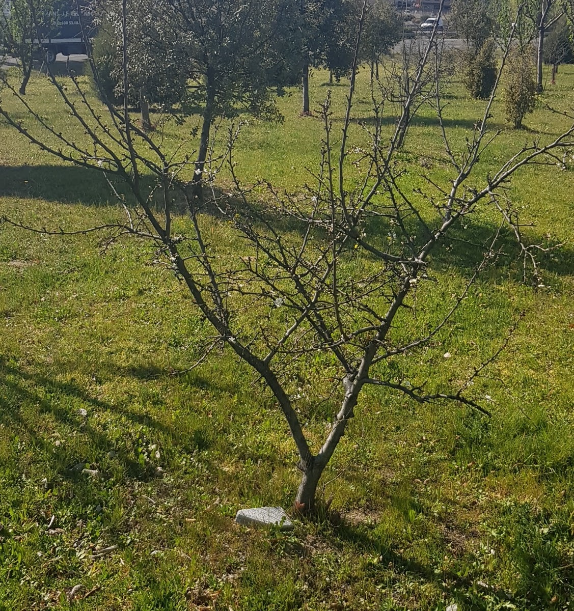 20190312_161408.jpg