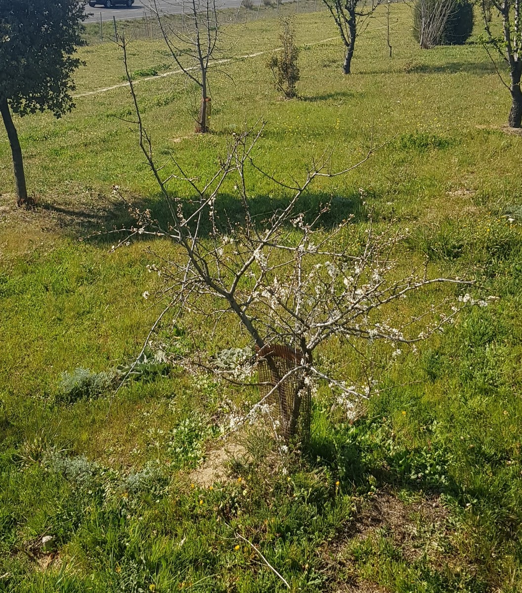 20190312_161455.jpg