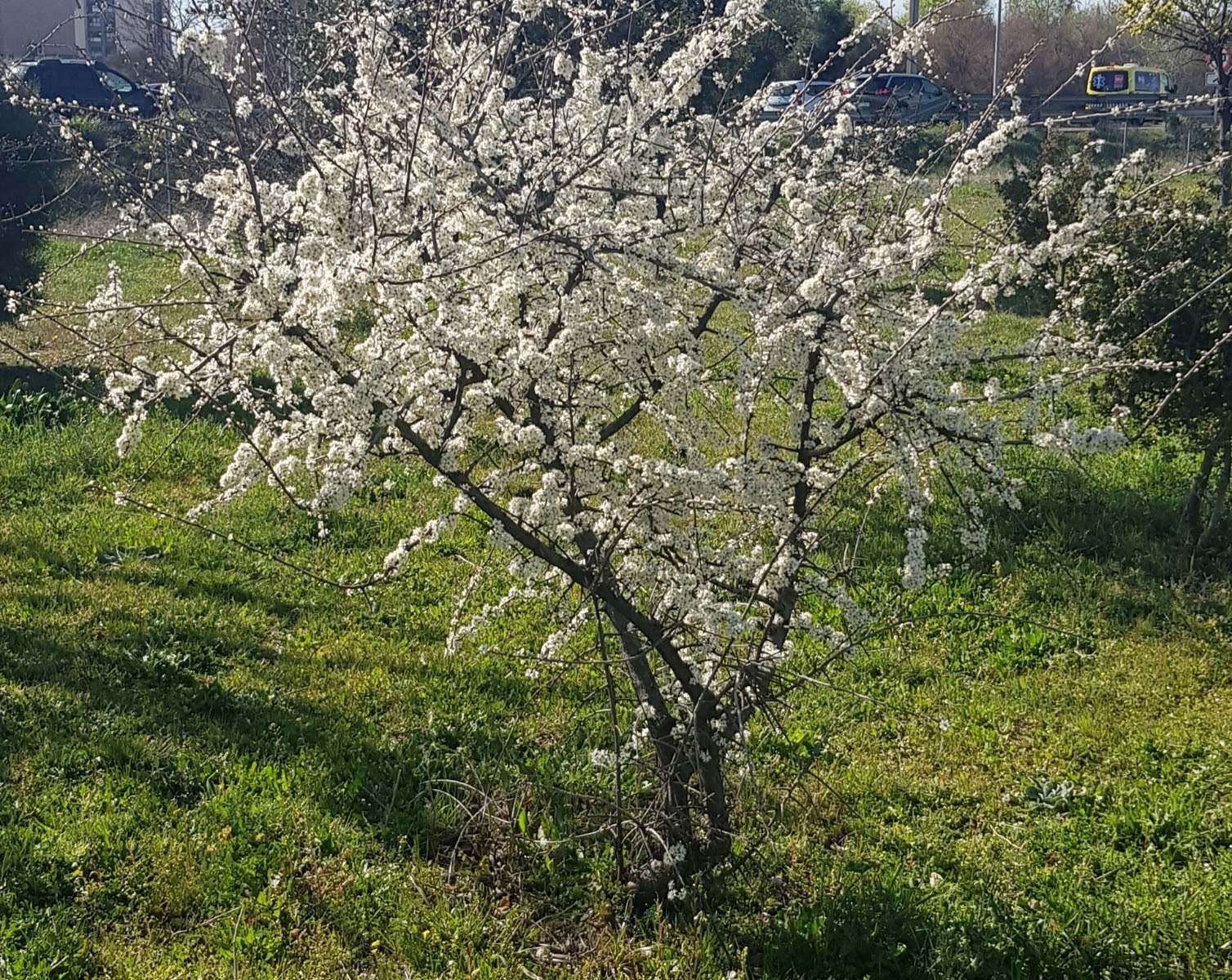 20190312_161636.jpg