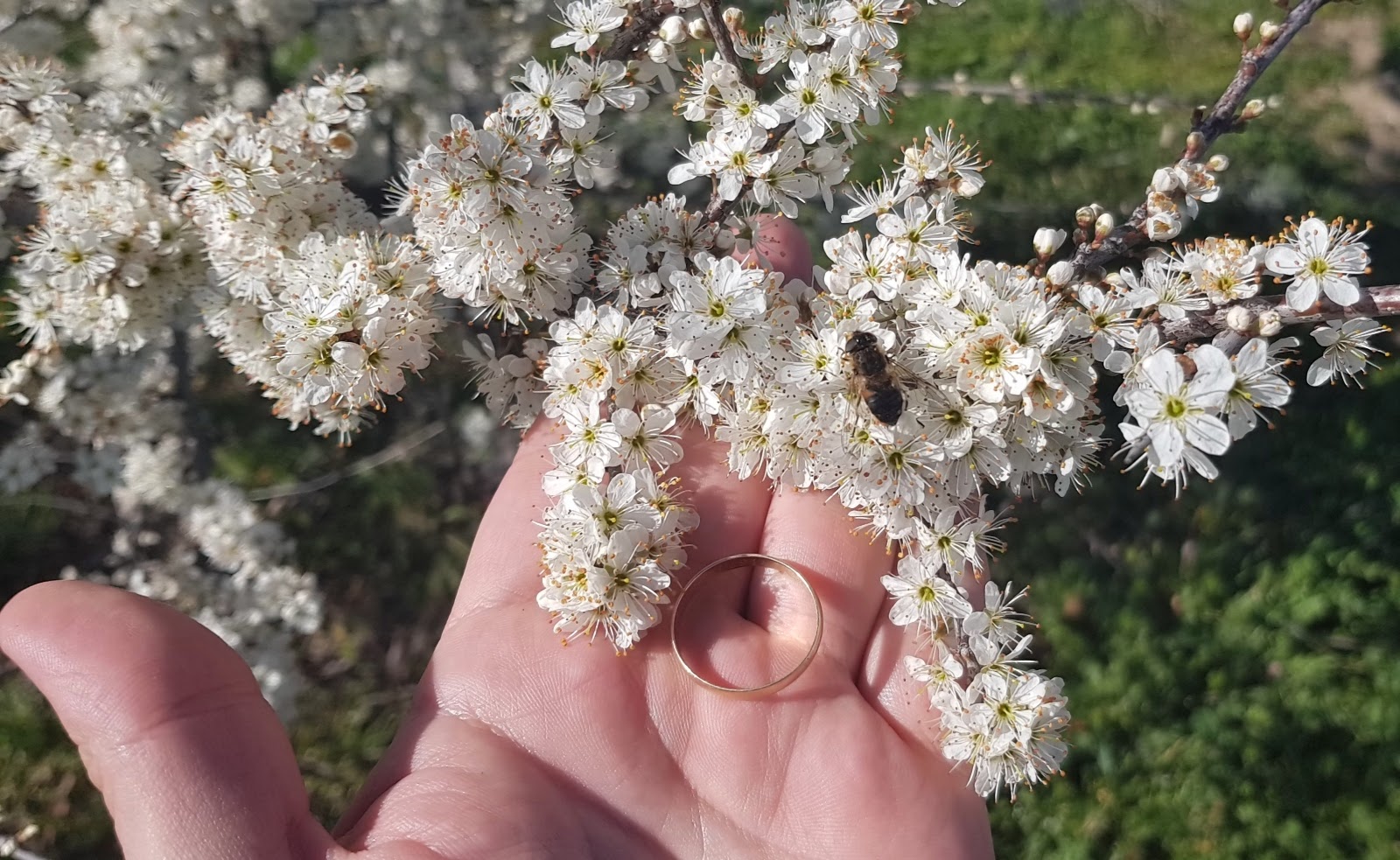 20190312_161652.jpg