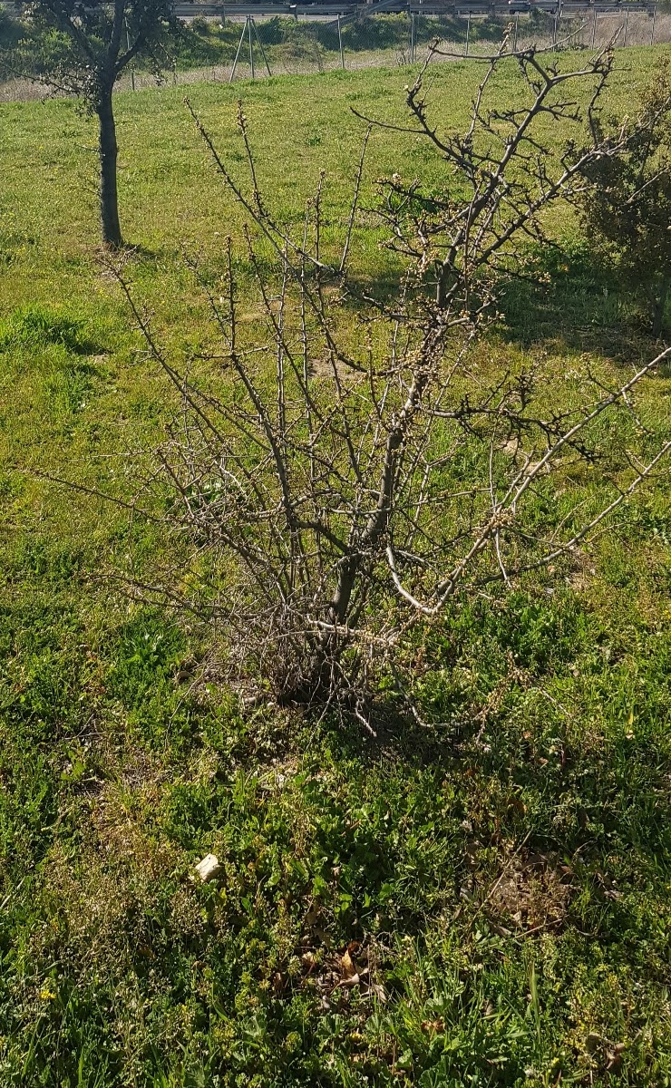 20190312_161708.jpg