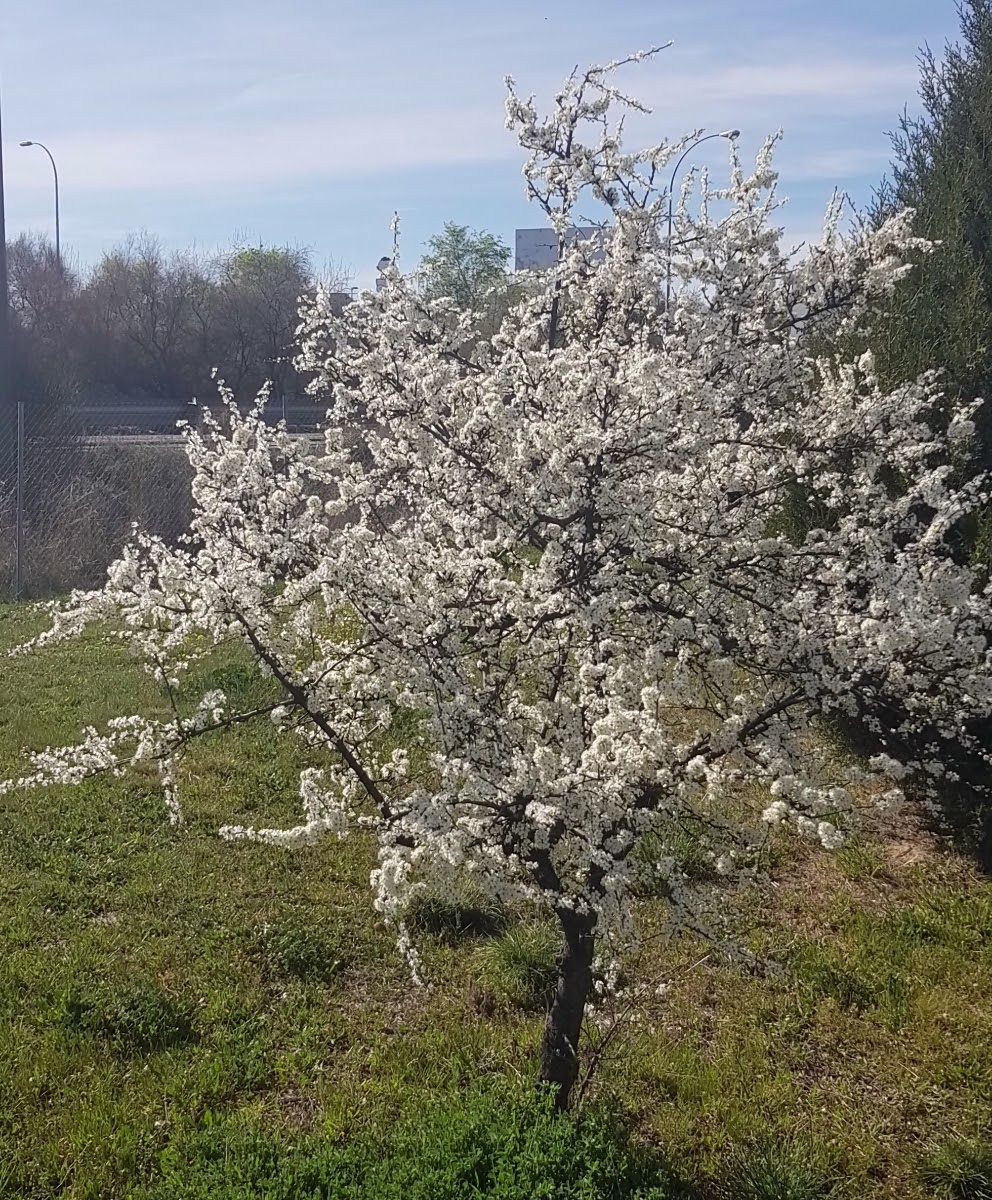 20190312_161749.jpg