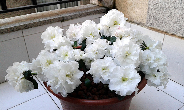 20190316-183852.jpg