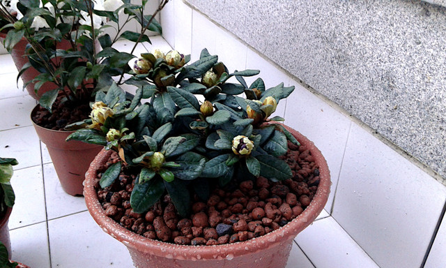 20190316-184128.jpg