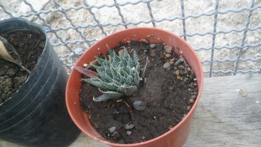 20190322-182428.jpg