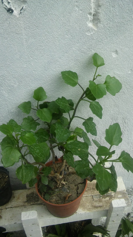 20190324-140718.jpg