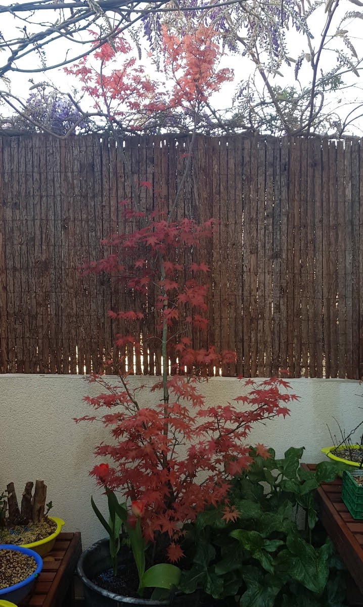 20190326_075107.jpg