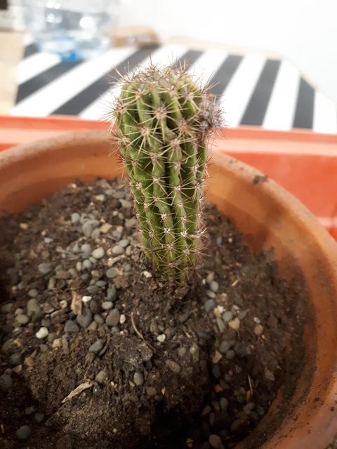 20190412-152659.jpg