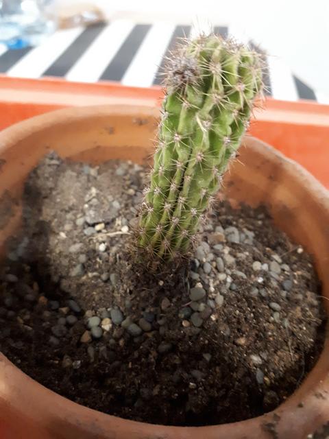20190412-152722.jpg