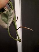 20190423-215355.jpg