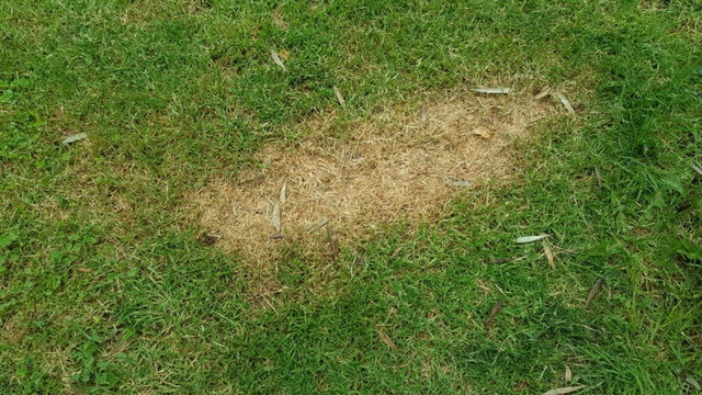 20190427-110618-reducida.jpg