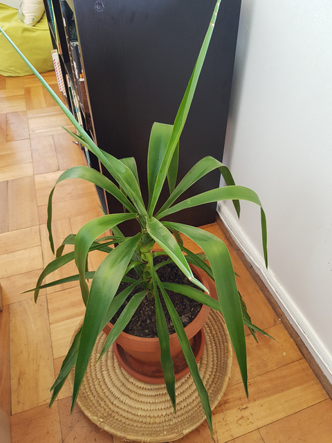 20190427-125532.jpg