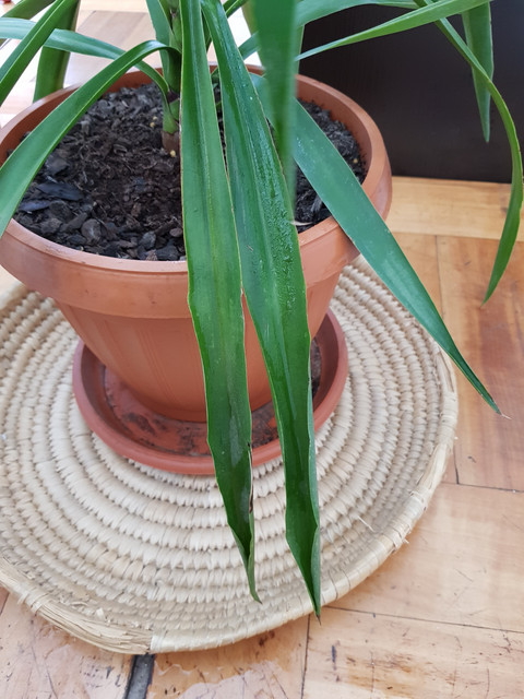 20190427-125557.jpg