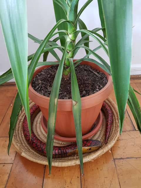 20190504-113245.jpg