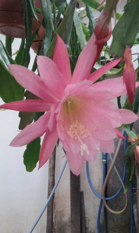 20190505-103934.jpg