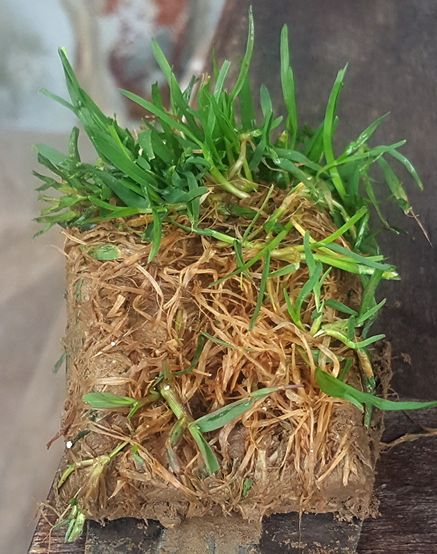 20190510-102439.jpg