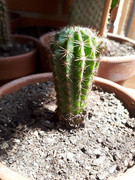 20190516-133413.jpg