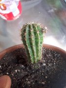 20190516-133425.jpg