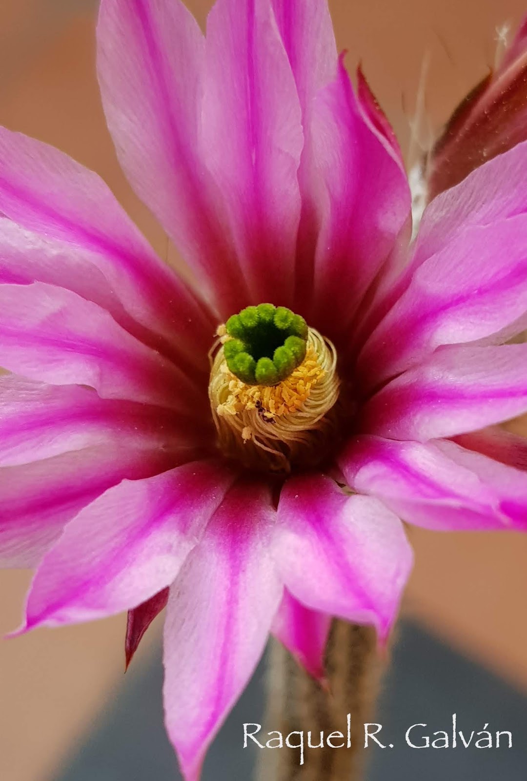 20190522_201917.jpg