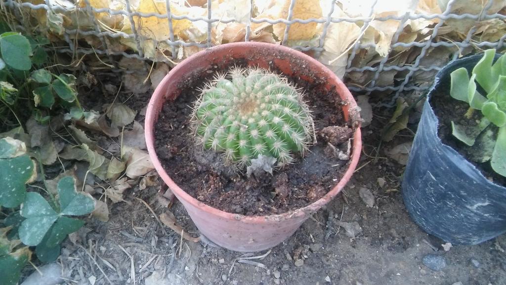 20190525-170754.jpg