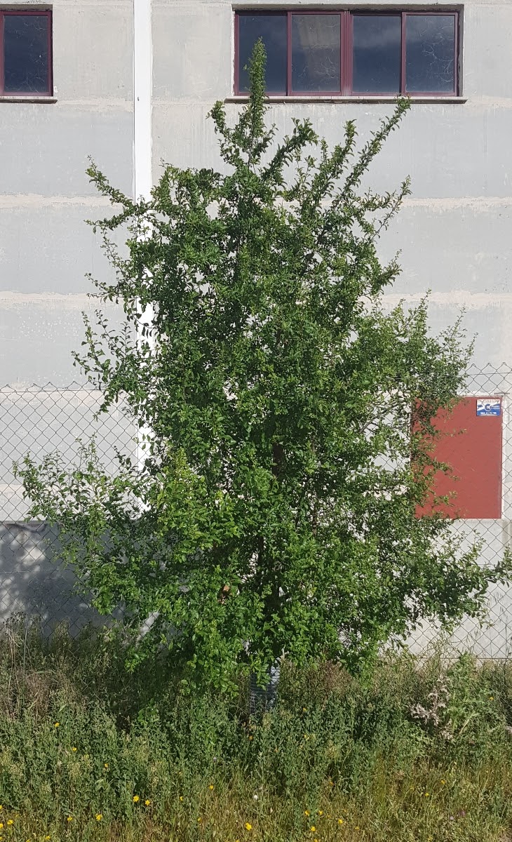 20190531_080510.jpg
