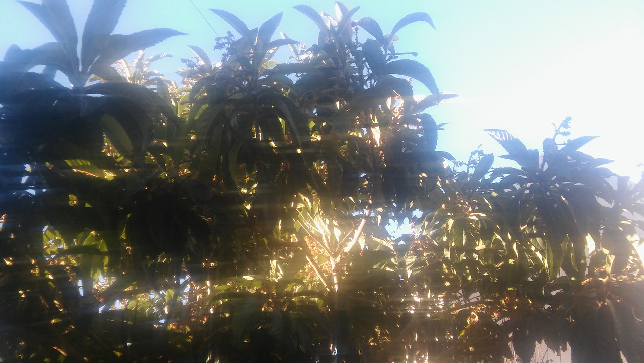 20190622-163409.jpg