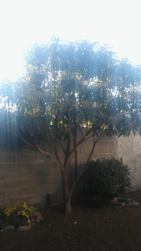 20190622-163436.jpg
