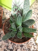 20190625-220543.jpg