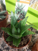 20190625-220550.jpg