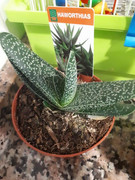 20190625-220556.jpg