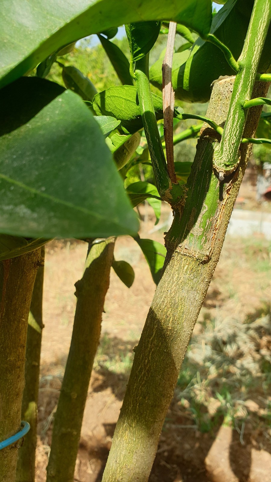 20190711-111559.jpg