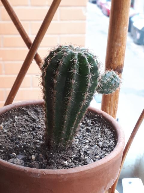 20190731-120905.jpg