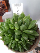 20190802-142003.jpg