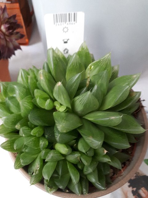 20190802-142003.jpg
