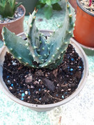 20190803-184153.jpg