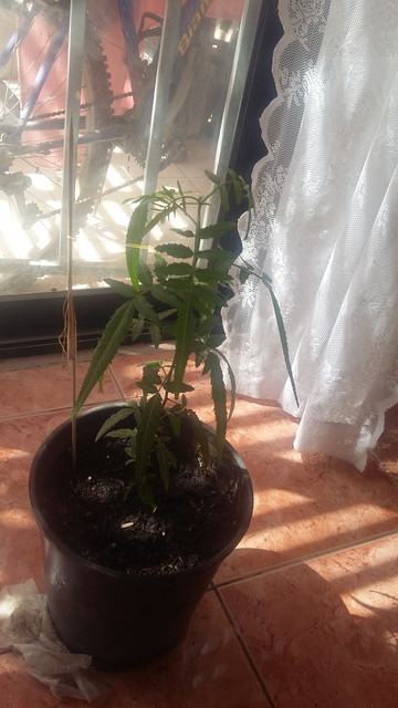 20190824-131613.jpg
