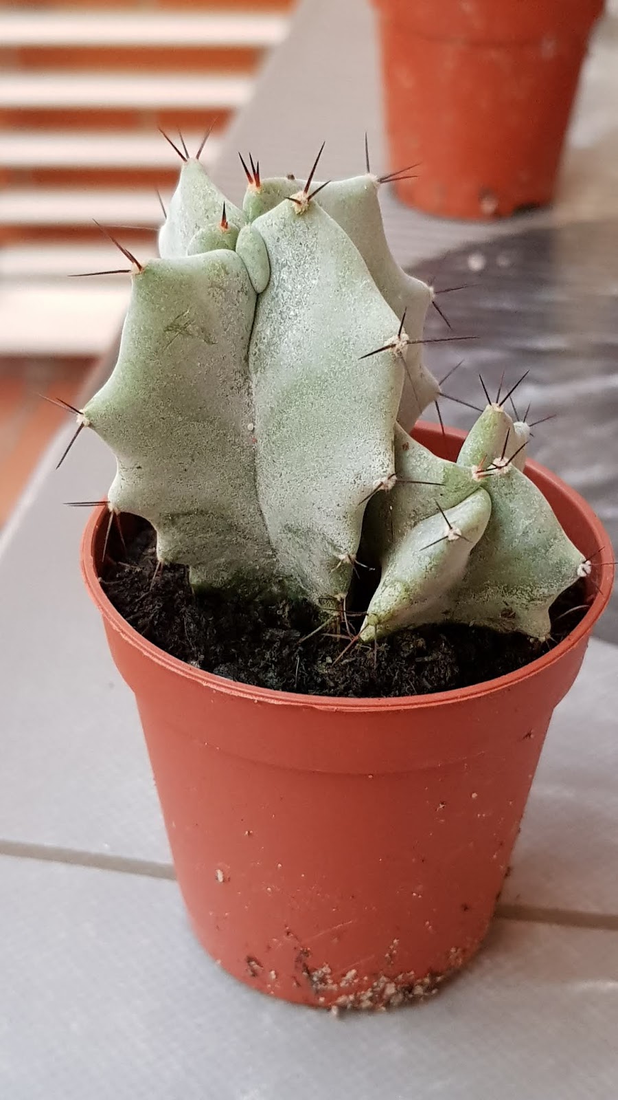 20190827_204328.jpg