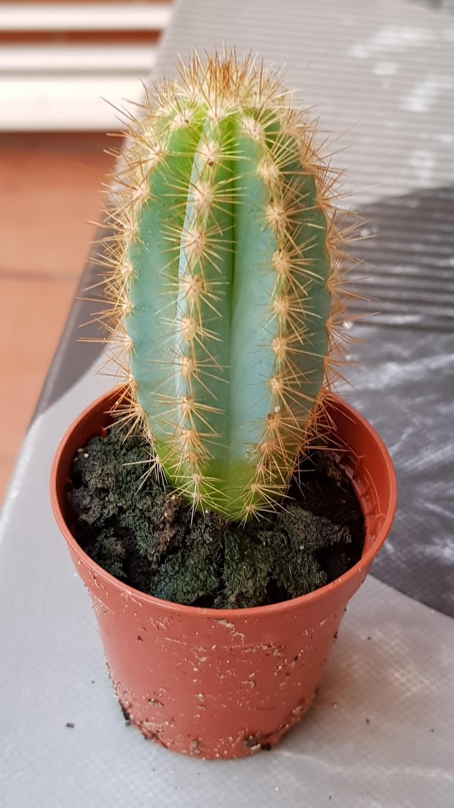 20190827_204343.jpg
