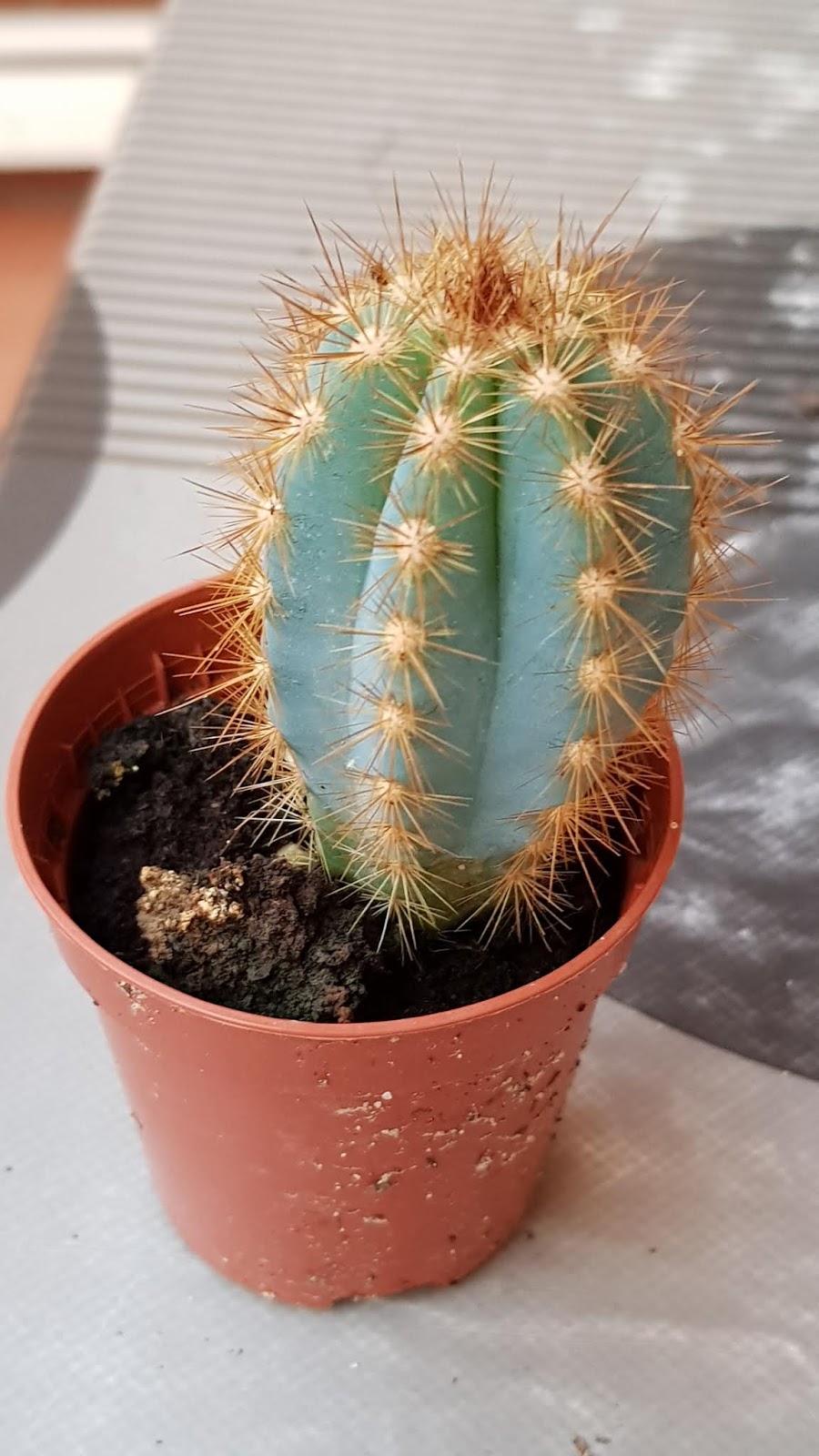 20190827_204350.jpg