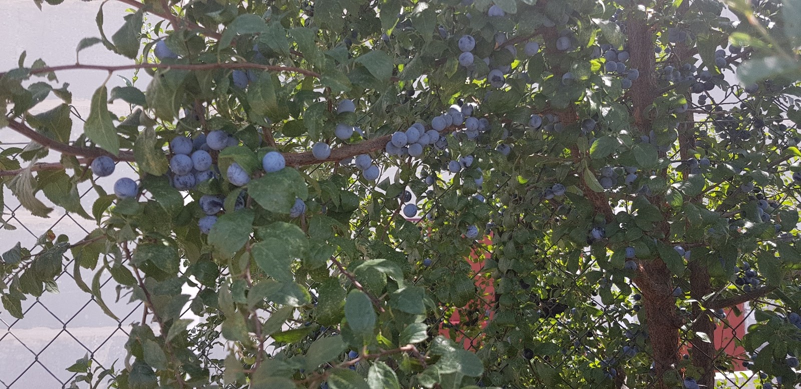20190902_144631.jpg