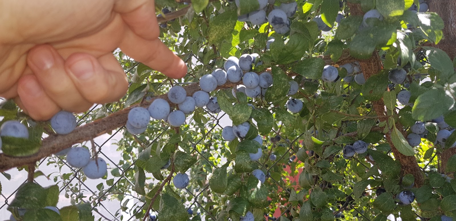20190902_144638.jpg