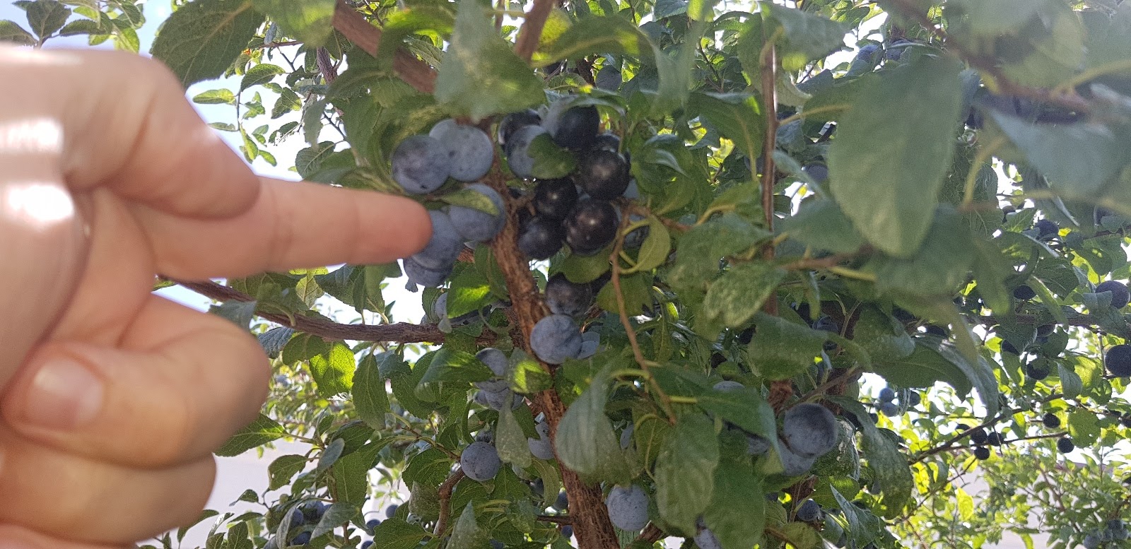 20190902_144646.jpg
