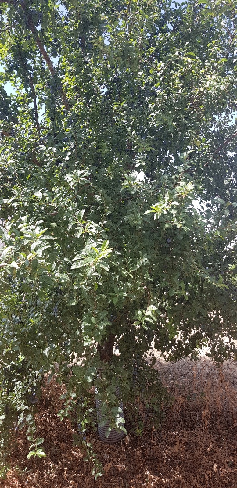20190902_144716.jpg