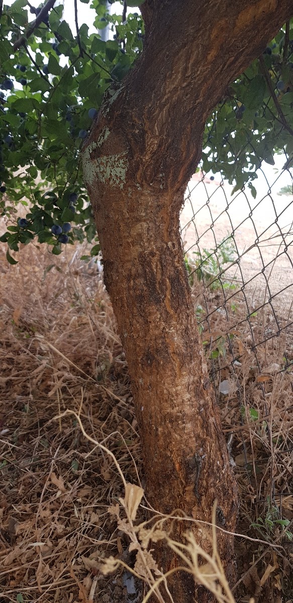 20190907_105024.jpg