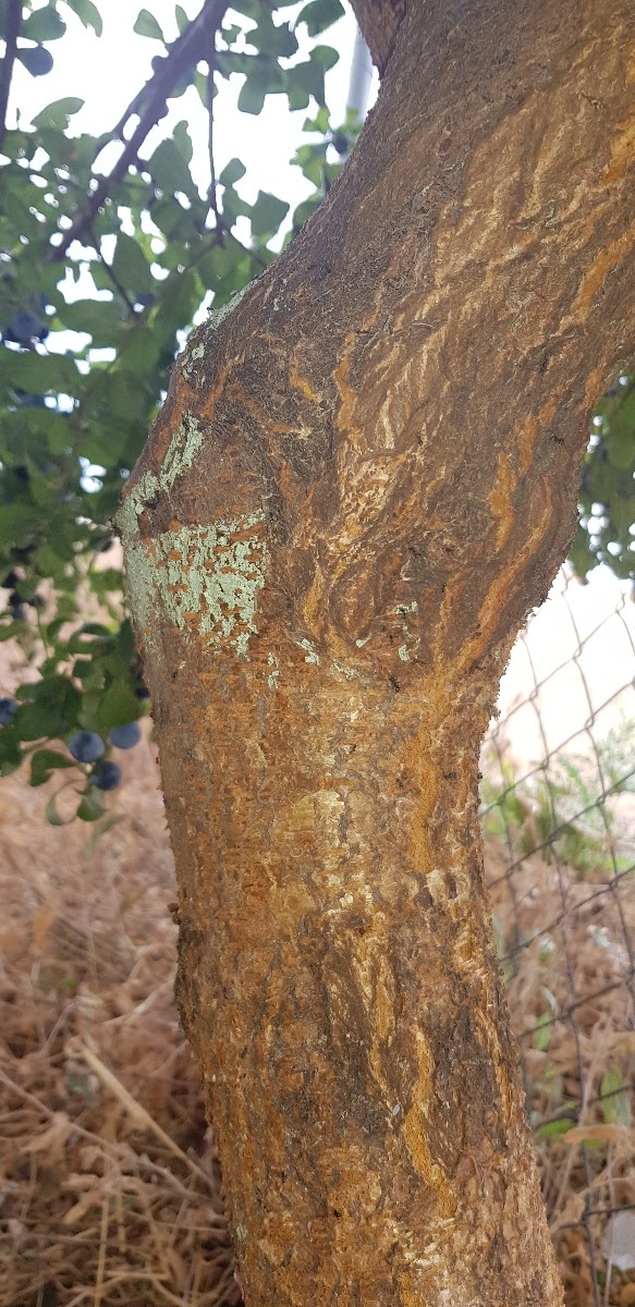 20190907_105039.jpg
