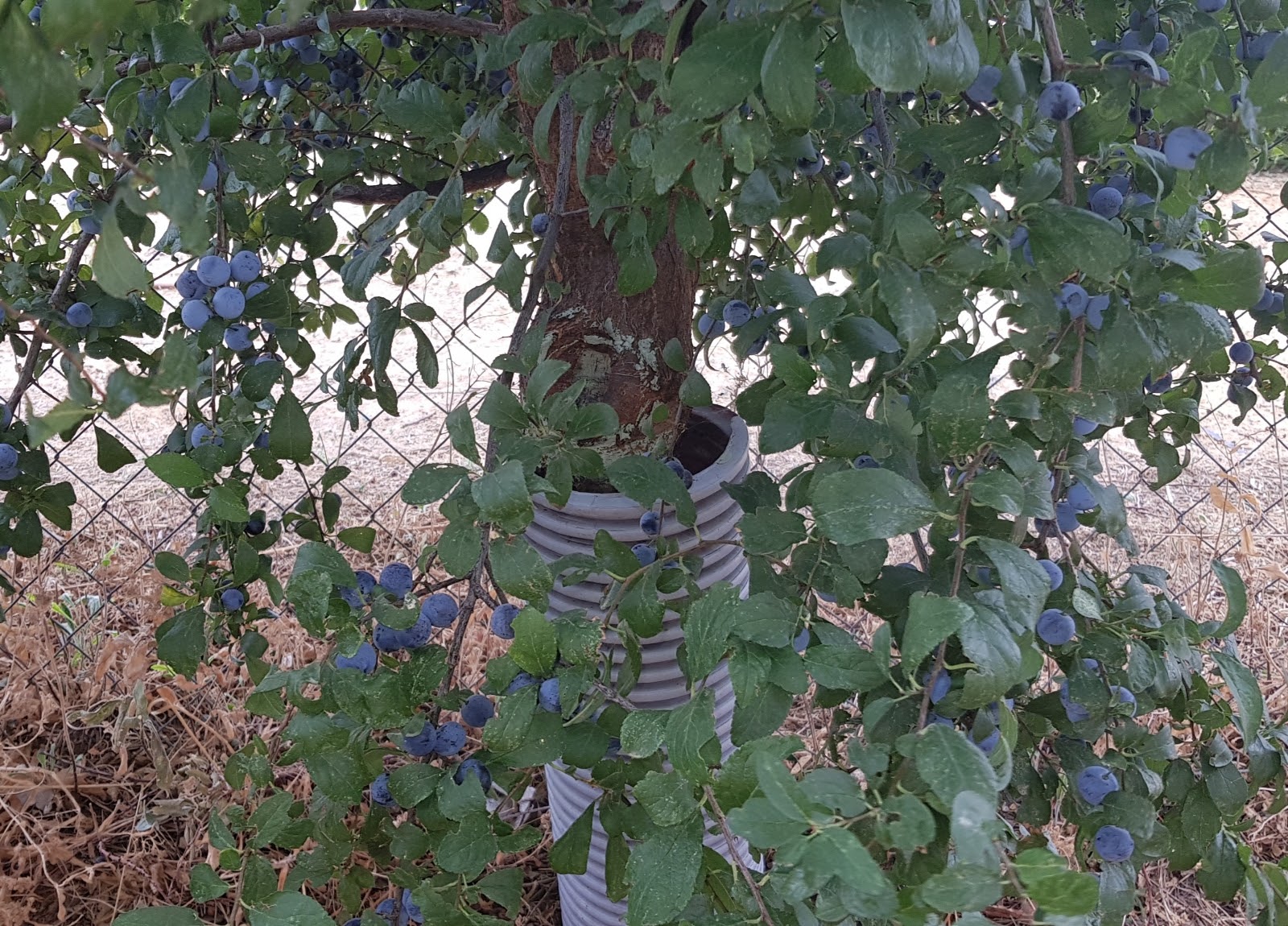 20190907_112115.jpg