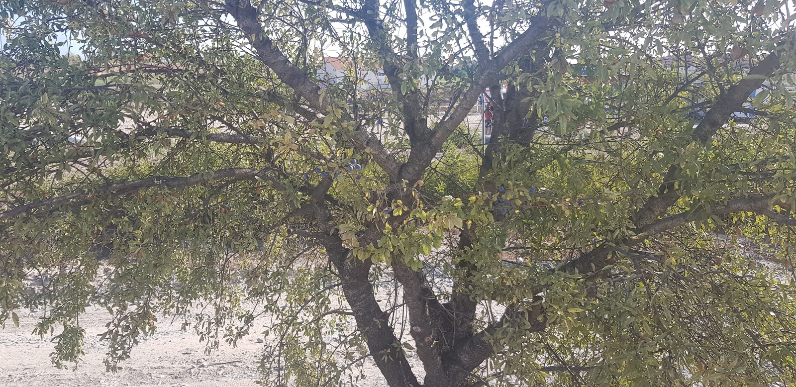 20190908_101652.jpg