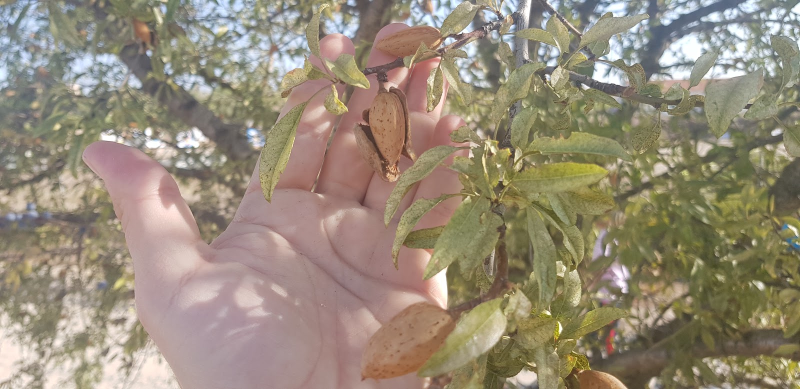 20190908_101705.jpg