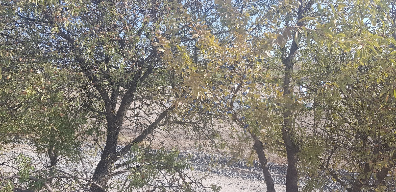 20190908_101817.jpg
