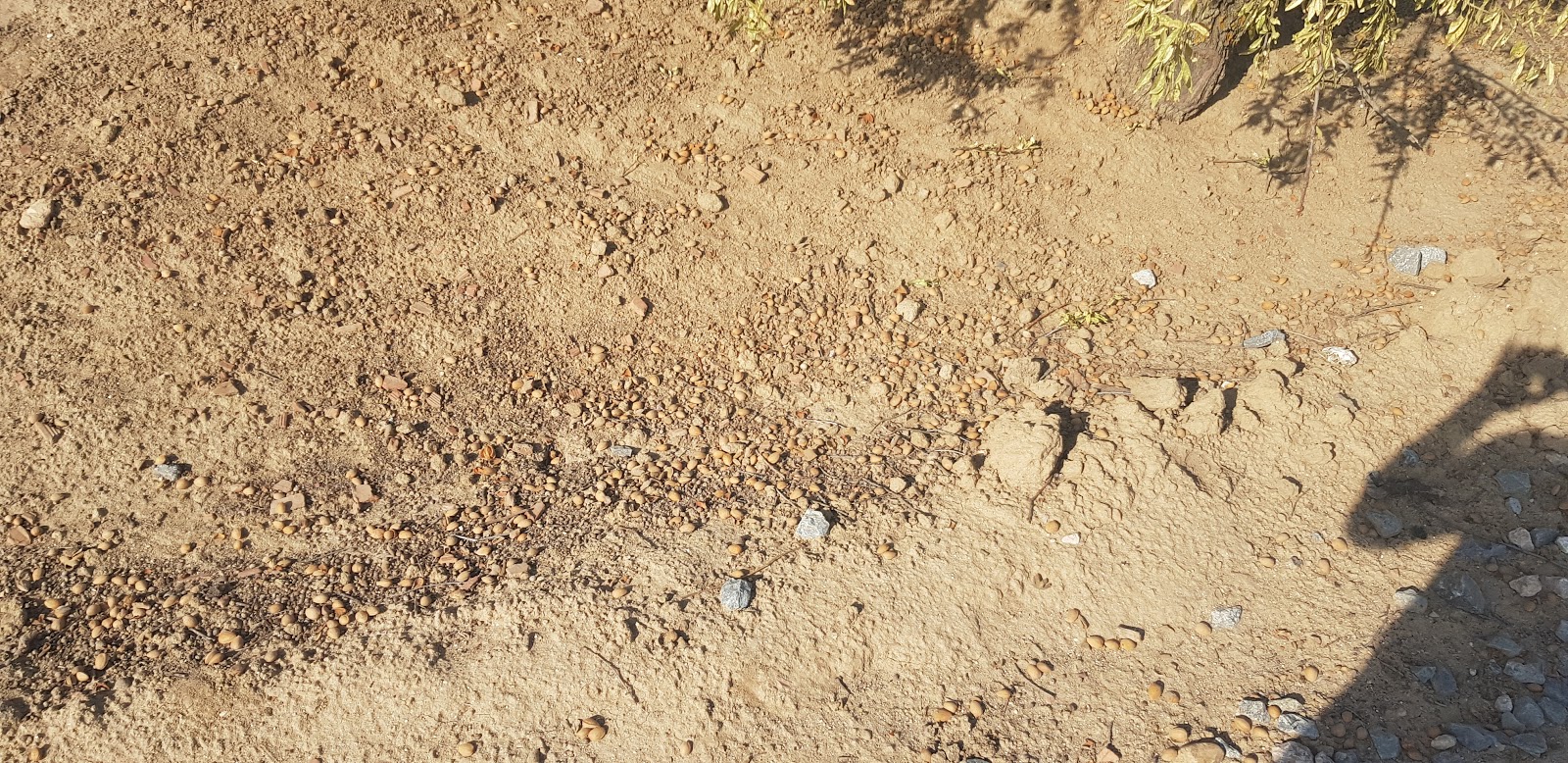 20190908_101939.jpg